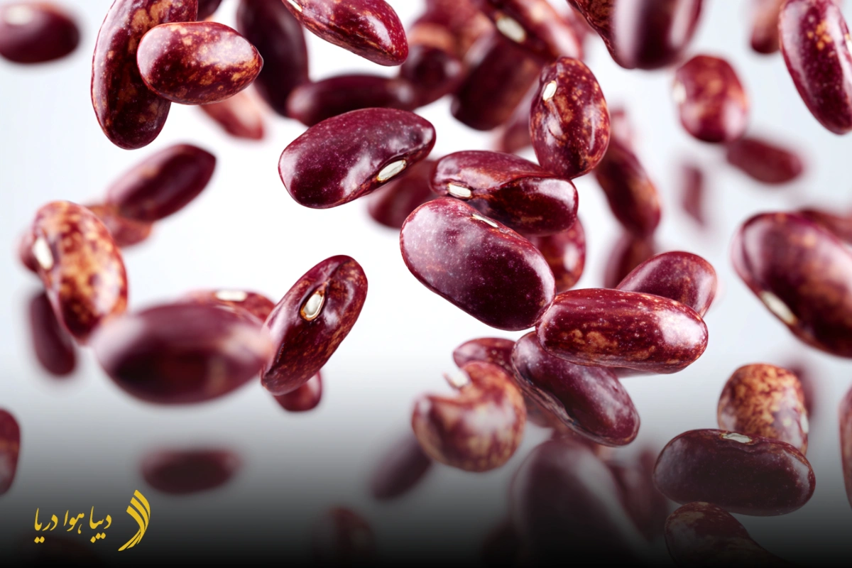 importing-beans-to-iran