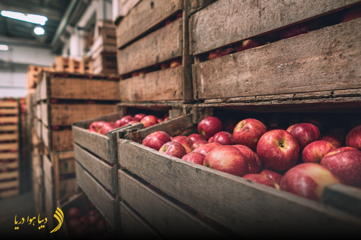 حمل میوه خشک به امارات