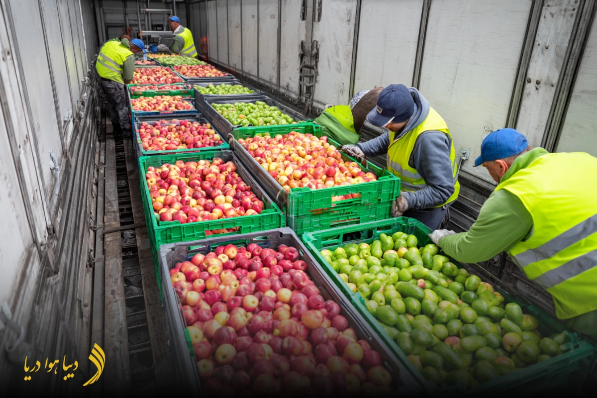 حمل دریایی میوه به دبی