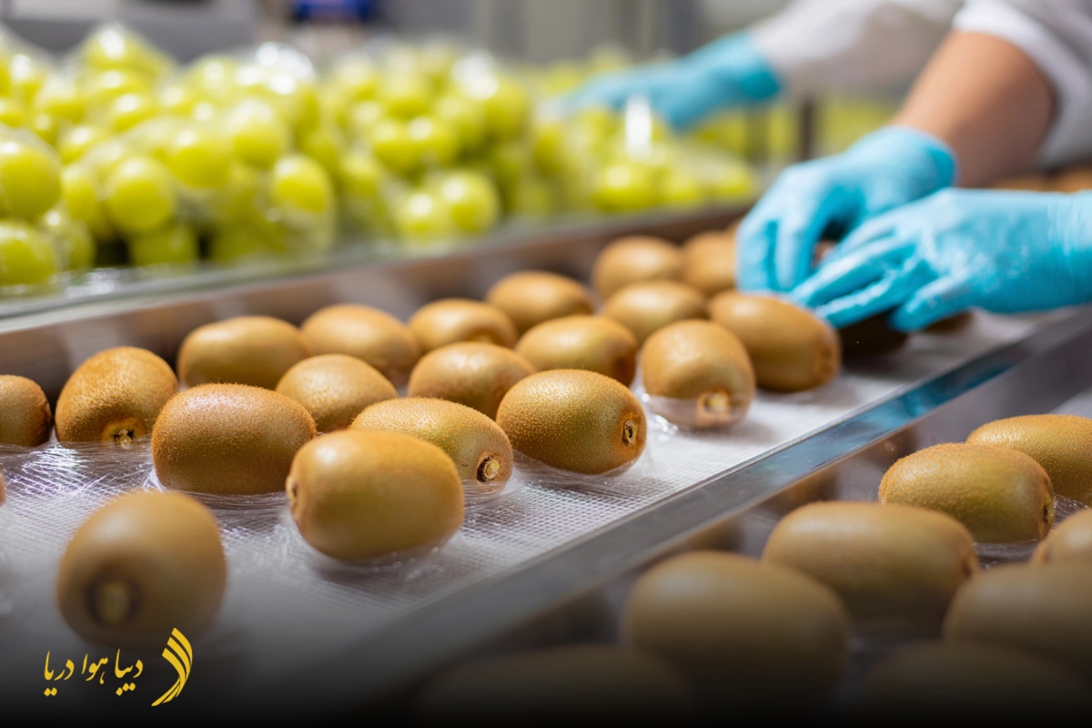 حمل میوه به امارات