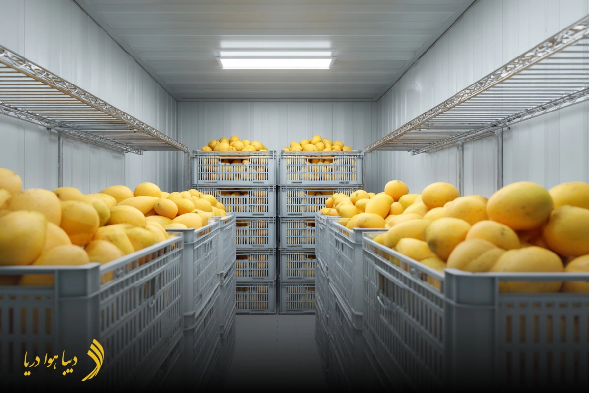 قوانین و شرایط صادرات میوه به دبی