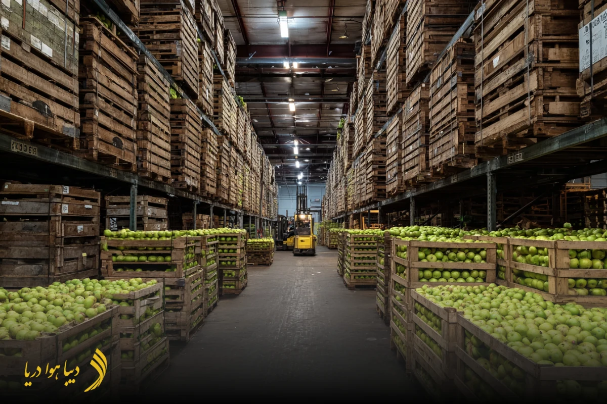 صادرات میوه به دبی