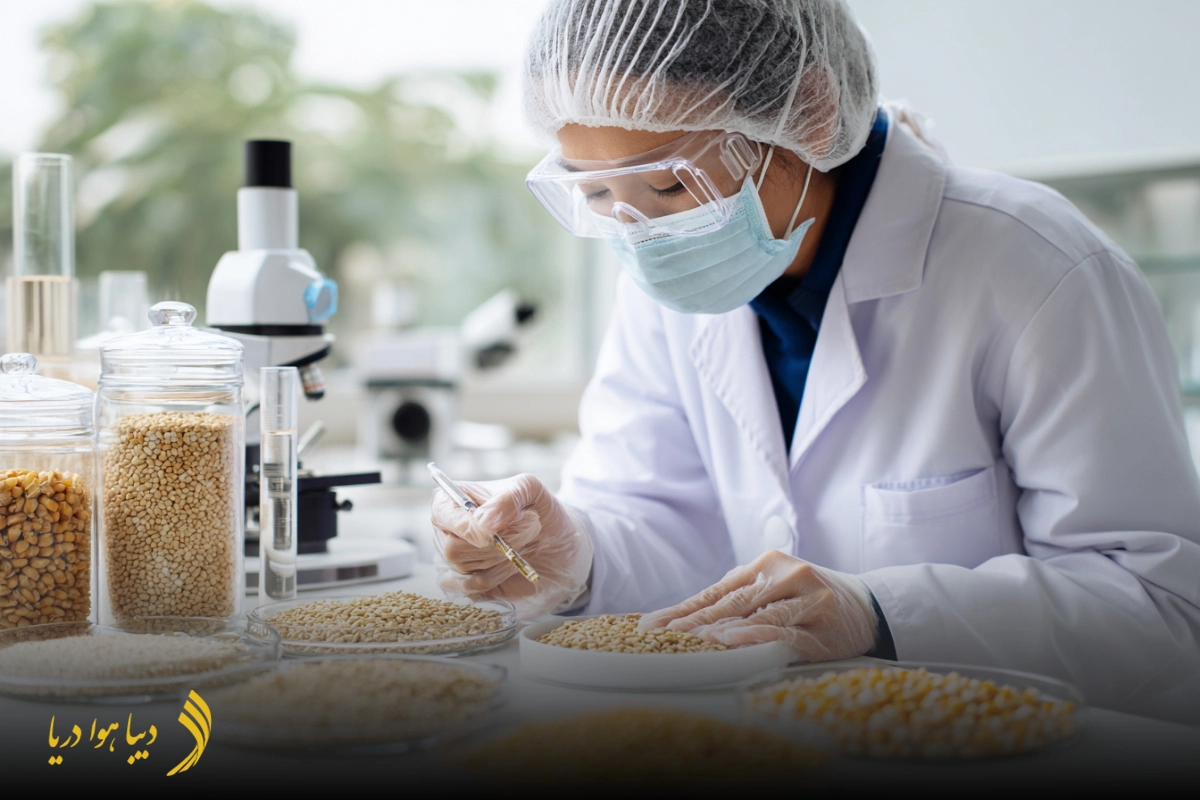 واردات حبوبات