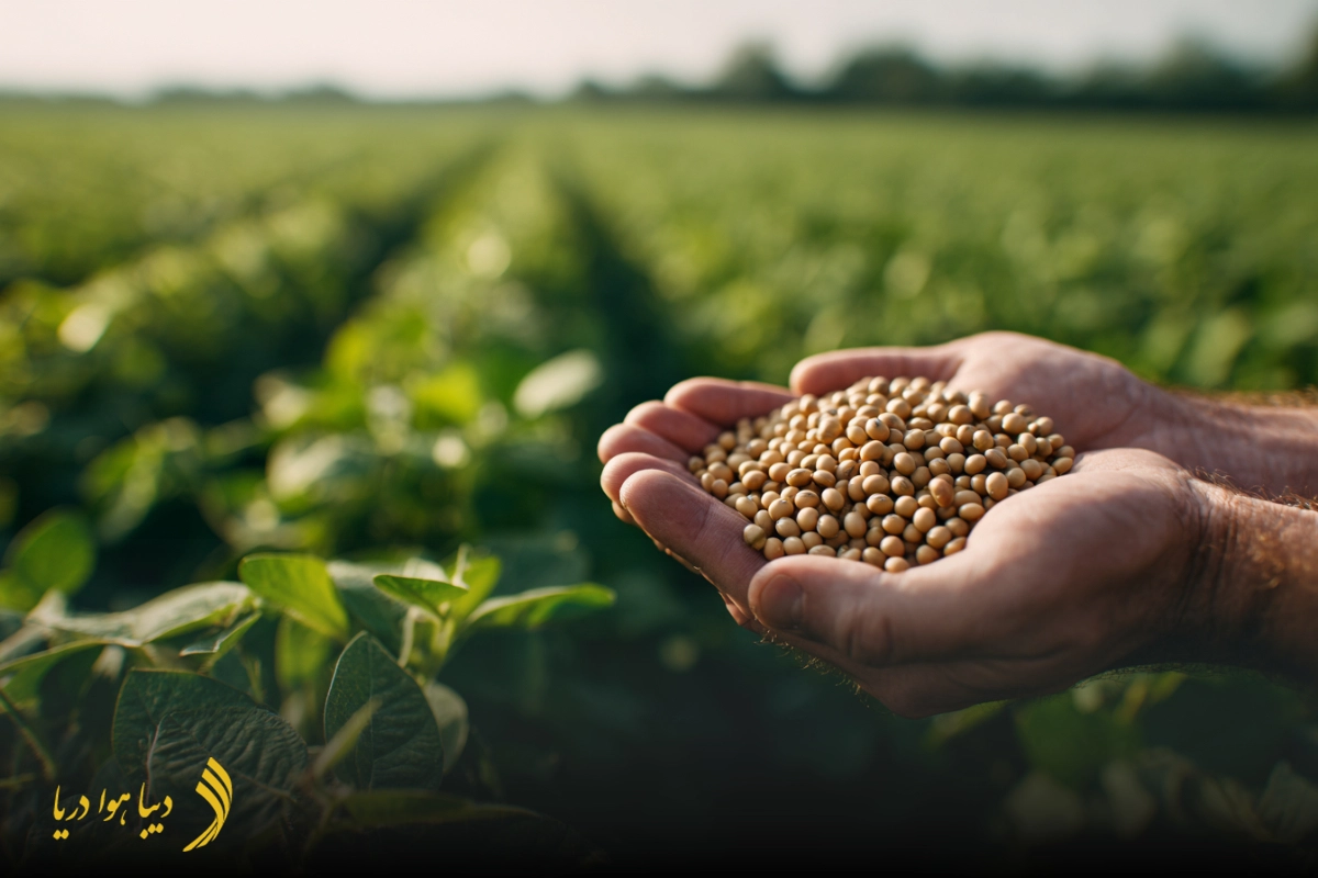 مهمترین کشورها در واردات حبوبات