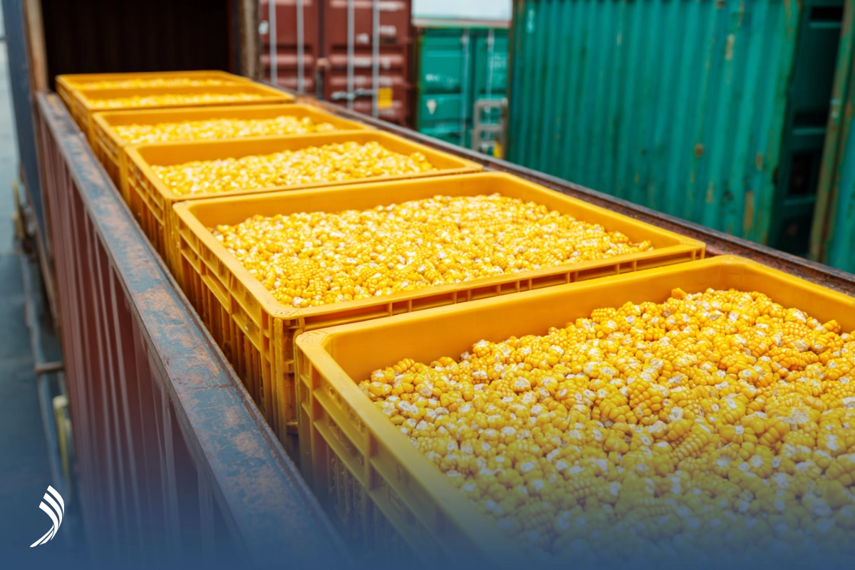 حمل دریایی ذرت به ایران