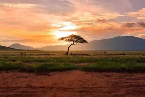 kenya