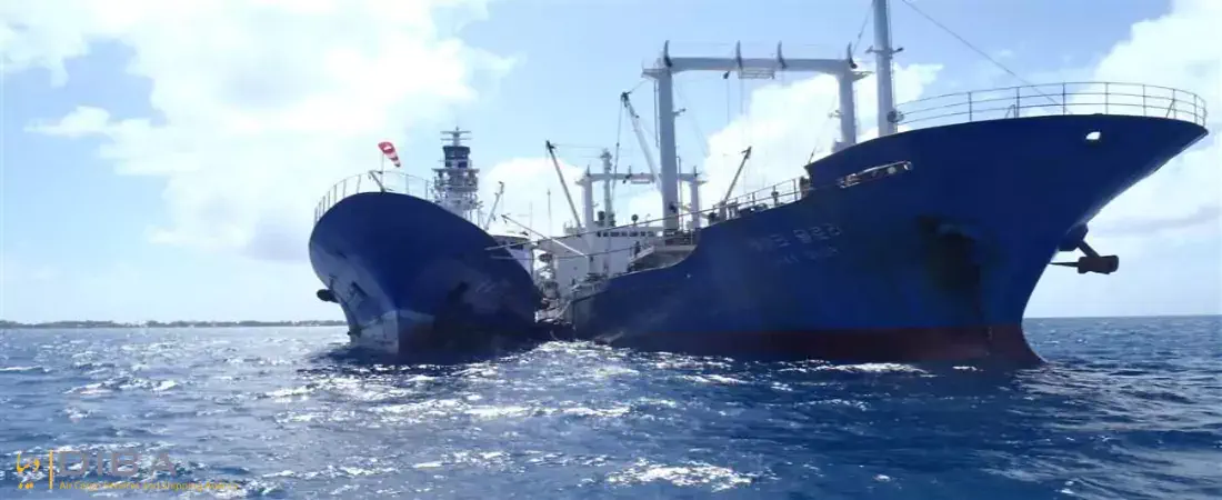 the-difference-between-transit-and-transshipment